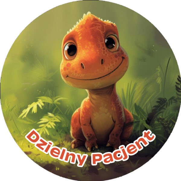 Naklejki Dzielny Pacjent - Smoki