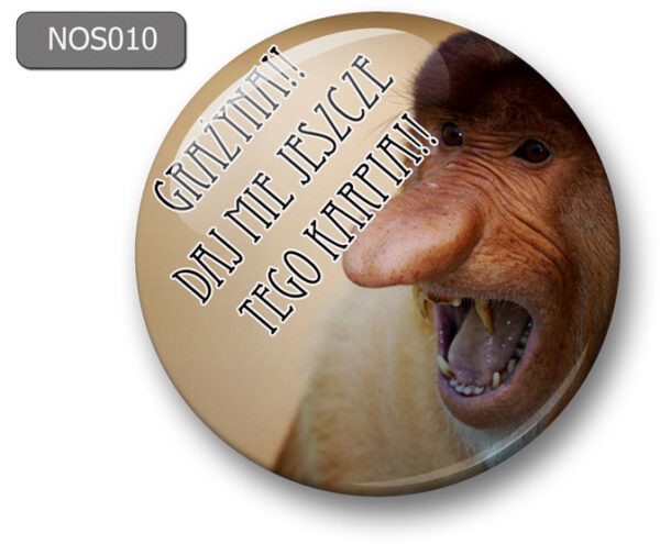 Magnes na lodówkę nosacz