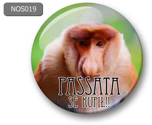 Magnes na lodówkę nosacz