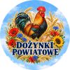 Wzór: Przypinka Dożynki Kogut Folkowy – pastelowa grafika z napisem DOŻYNKI POWIATOWE