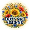 Wzór: Przypinka Dożynki Malowane – pastelowa grafika z napisem DOŻYNKI GMINNE