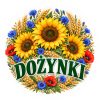 Wzór: Przypinka Dożynki Słoneczniki i Chabry – pastelowa grafika z napisem DOŻYNKI
