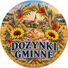 Wzór: Przypinka Dożynki w Stylu Malarskim – pastelowa grafika z napisem DOŻYNKI GMINNE