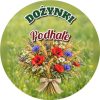 Wzór: Przypinka Dożynki Zioła i Kwiaty – napis DOŻYNKI i pole miejscowość na pastelowym tle