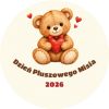 Wzór przypinki na Dzień Pluszowego Misia: pluszowy miś z czerwonym sercem na kremowym tle, napis po łuku i rok 2026
