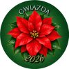 Wzór: Przypinka Poinsecja – napis GWIAZDA i pole rok na świątecznej grafice