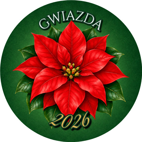 Wzór: Przypinka Poinsecja – napis GWIAZDA i pole rok na świątecznej grafice
