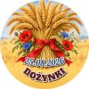 Wzór: Przypinka Snop Zboża – napis DOŻYNKI i pole data na pastelowym tle