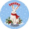 Wzór: Przypinka Zajączek Zimą – napis ŚNIEŻNY i pole imię na świątecznej grafice