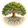 Wzór: Przypinka Zjazd Rodzinny Korzenie – napis ZJAZD RODZINNY i pole miejscowość na pastelowym tle