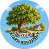 Wzór: Przypinka Zjazd Rodzinny Lipa – napis ZJAZD RODZINNY i pole miejscowość na pastelowym tle